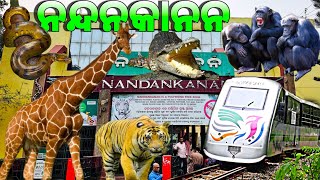 Nandankanan Zoological Park  3rd Largest Zoo of India  Bhubaneswar  2023 [upl. by Mairam]