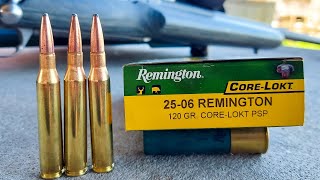 2506 the Ultimate Deer Cartridge  Bullet Drop Demonstrated and Explained  Remington CoreLokt [upl. by Arikat158]