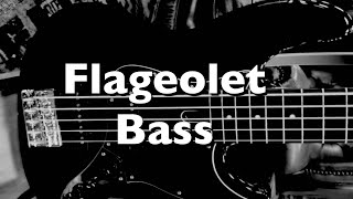 Ive made a sample library Flageolet Bass Guitar  FREE Kontakt Instrument [upl. by Appolonia580]