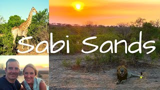 Sabi Sands – Our Safari Experience [upl. by Ynar925]