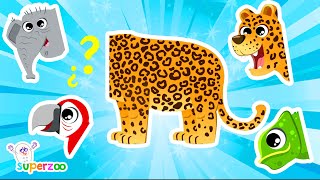 🐆 What kind of animal is the leopard Learn about the jungle with the Superzoo team [upl. by Breed]