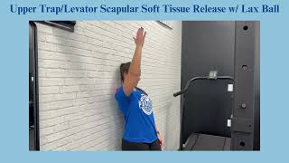 Upper TrapLevator Scapular Soft Tissue Release w Lax Ball [upl. by Feilak94]