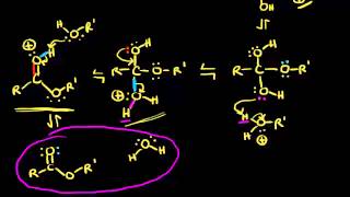 Preparation of esters via Fischer esterification  Organic chemistry  Khan Academy [upl. by Giffer]