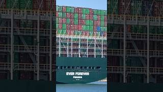 EVERGREEN Container Ship [upl. by Kcor463]