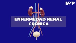 Enfermedad renal crónica [upl. by Faludi990]