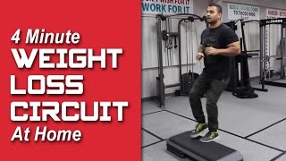 4 Minute WEIGHT LOSS Circuit to do  HOME Hindi  Punjabi [upl. by Telfer643]