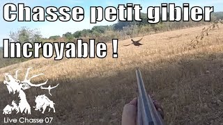 Chasse petit gibier 20172018  faisans et grives [upl. by Rayham383]