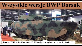 Wszystkie wersje BWP Borsuka [upl. by Gabriel602]