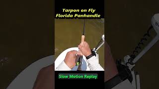 Tarpon Fly Fishing Florida Panhandle [upl. by Anilrats132]