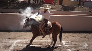 1er lugar PIALES  Juan Pablo Franco  Los Tres Toños Nayarit 2017 [upl. by Margaret]