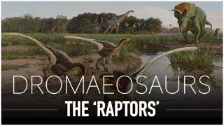 Dromaeosaurs The Strange Carnivores of The Mesozoic Era  Dinosaur Documentary [upl. by Eanrahs735]