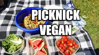 PICKNICK VEGAN IM PARK  vegan picknicken  FITNESSIDDE [upl. by Karole477]