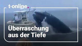 Wal schießt aus dem Wasser – und katapultiert Angler aus ihrem Boot [upl. by Grange]