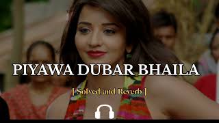 Piyawa Dubar Bhaila HoSlowed Reverb पियवा दुबार भईला हो bhojpuri lofi song [upl. by Edlun]