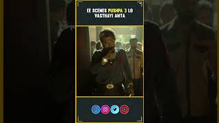 Ee Scenes Pushpa 3 lo vasthayi anta🔥 Allu Arjun Rashmika Fahadh  Pushpa 2 The Rule  InfiniPark [upl. by Ididn]