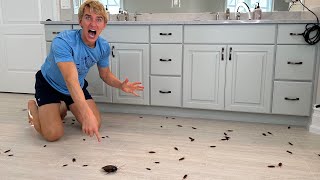 We Found BUG INFESTATION in my Sisters Bed Room [upl. by Nevyar]