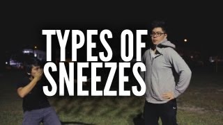 Types Of Sneezes [upl. by Nochur]