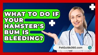 What To Do If Your Hamsters Bum Is Bleeding  PetGuide360com [upl. by Zul]