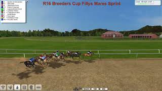 FR WK12 R16 Breeders Cup Fillys Mares Sprint [upl. by Ellinehc813]