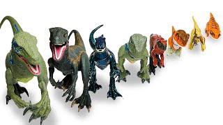 HUGE Collection Of Raptors Lined Up By Size  Velociraptor Indoraptor Pyroraptor amp More [upl. by Aiotal]