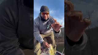 Cold Water Bassin with the Nikko Craw [upl. by Ynavoj]