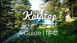 Kalatop Dalhousie Himachal Pradesh  A Travel and Trek Guide  हिन्दी [upl. by Gildea]