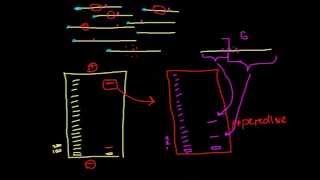 Modification interference assays [upl. by Derr]