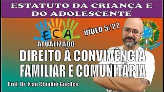 Lei 806990 Do Direito à Convivência Familiar e Comunitária Vídeo 522 [upl. by Eitac]