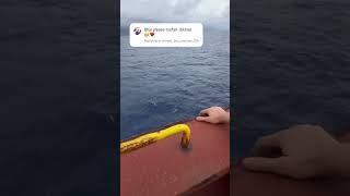 Ship new video reels funny shorts [upl. by Deckert]