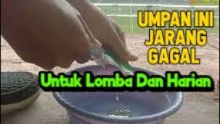 Umpan Ikan Mas Rameh Dan Babon  Ikan Baru dan Ikan Lama [upl. by Ahsiekim231]