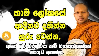 කාම ලෝකයේ ආදීනව දකින්න හුරු වෙන්න Ven Hasalaka Seelawimala thero [upl. by Nivrek]