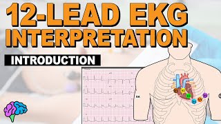 Introduction to Concepts of 12Lead EKG Interpretation [upl. by Langille]