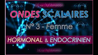 Onde Scalaire n°3  Système HORMONAL  ENDOCRINIEN amp BRULEUR DE GRAISSE Soin énergétique [upl. by Naval]