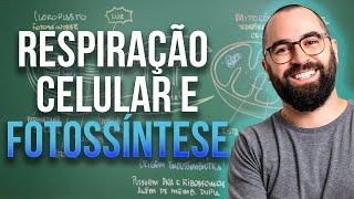 Respiração celular x Fotossíntese Mitocôndria e Cloroplasto  Aula 24  Módulo 1 Biologia Celular [upl. by Ahtebat]