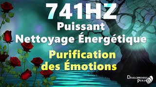 741hz Libére les toxines la négativité la colère la jalousie la culpabilité [upl. by Enaed553]