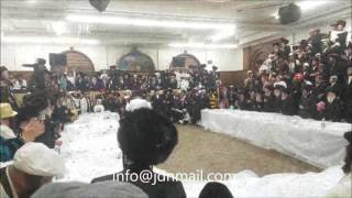 More Of Purim 5777 With Tosher Rebbe [upl. by Iila]