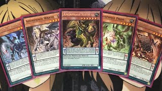 My Amorphage Yugioh Deck Profile for September 2020 [upl. by Annim367]