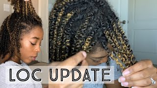 Starter Locs Two Strand Twist Method  23 Week Loc Update Loc Journey [upl. by Aromas]