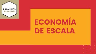 Economía de escala  Explicación sencilla  Cómo funciona y calcular economía de escala [upl. by Conn23]