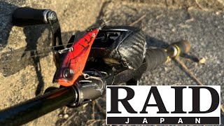 【RAID】一投一匹 クソほど釣れるバイブレーション 愛してやまない18ｇ 飛距離は正義です [upl. by Refotsirk]