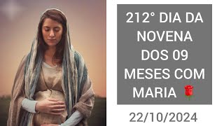 DIA 212 DA NOVENA DOS 09 MESES COM MARIA 🙏🏼🌹 [upl. by Tnattirb132]