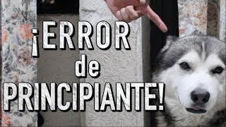 El MÁXIMO ERROR al ENTRENAR a UN PERRO  MartGon [upl. by Blunk]