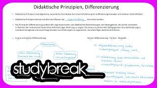 Didaktische Prinzipien Differenzierung  Didaktik [upl. by Icyac]