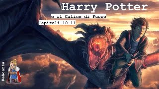 Audiolibro  Harry Potter e il calice di fuoco  Lettura e Commento Cap 1011 [upl. by Negaet]