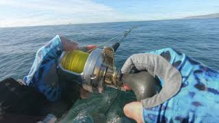 Coral Sea Santa Barbara California Sea Landing December 22 2020 [upl. by Scoter]