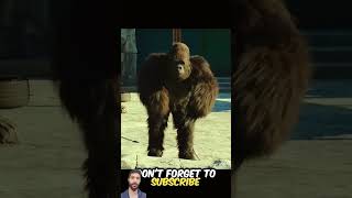 Animal zoo animals animalfacts movie animalmovie zoo korean nifty banknifty trading nse [upl. by Hinman]