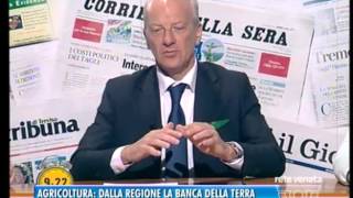 TREVISO TG  16042016  AGRICOLTURA DALLA REGIONE LA BANCA DELLA TERRA [upl. by Adnawak]