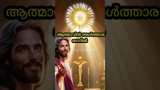 ആത്മാവിൻ അൾത്താര തന്നിൽAathmavin Althara ThannilshortsfeedshortsAmalantony [upl. by Lled355]