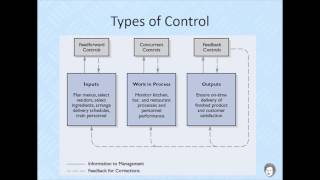 Principles Of Management  Lesson 12 Controlling [upl. by Ahtoelc569]