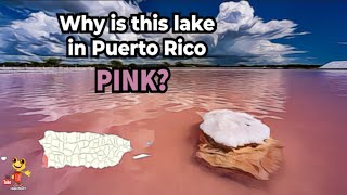 Why are these lakes in Puerto Rico PINK [upl. by Ynaffit]